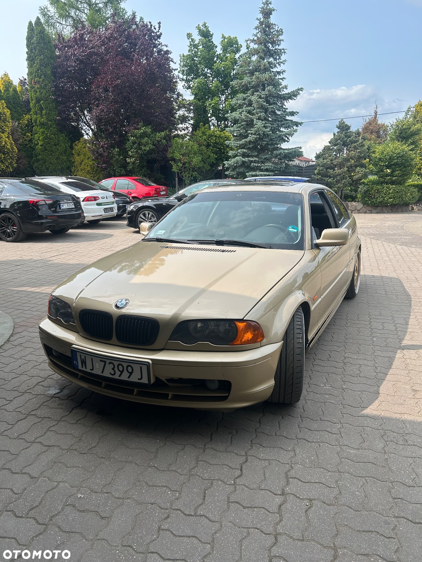 BMW Seria 3 318Ci - 2