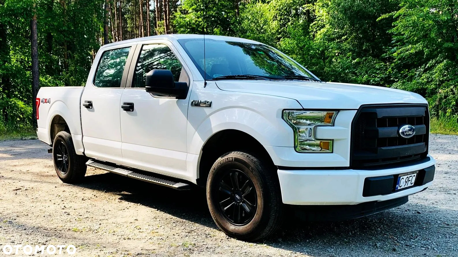 Ford F150 - 6