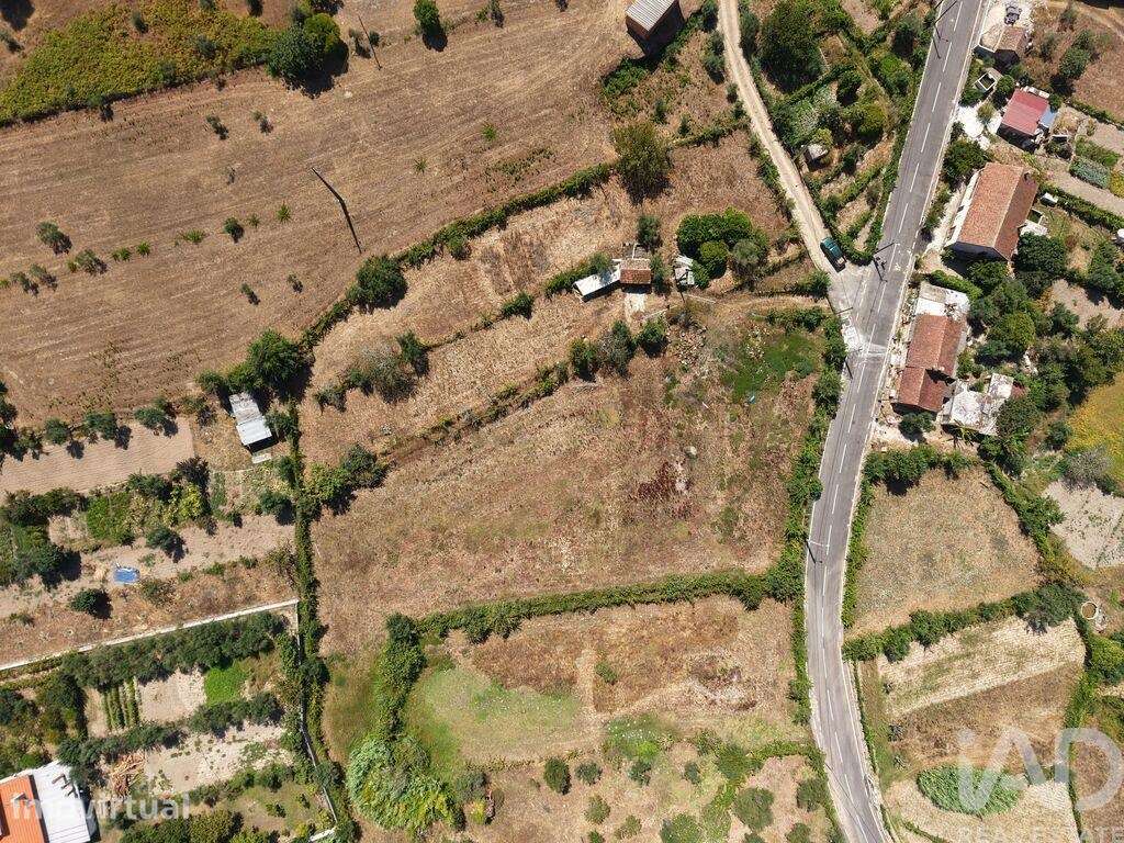 Terreno Agrícola em Carregal do Sal - Grande imagem: 4/7