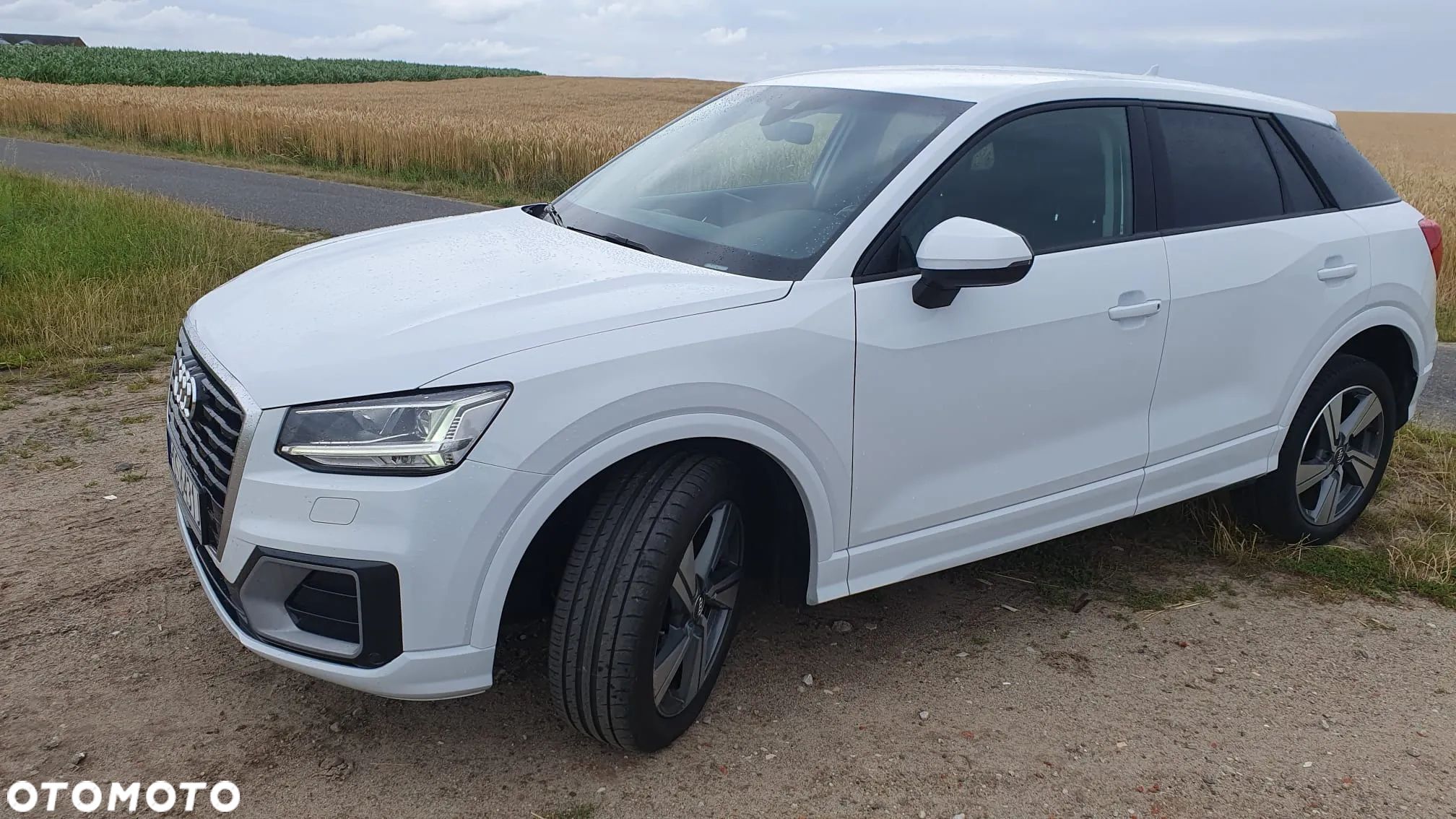 Audi Q2 1.6 TDI - 1