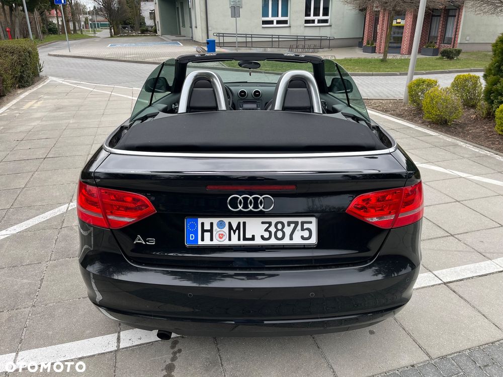 Audi A3 Cabrio 1.6 Ambition - 14