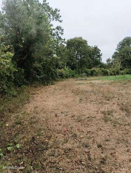 Terreno em Alvarenga-Arouca - Grande imagem: 2/10