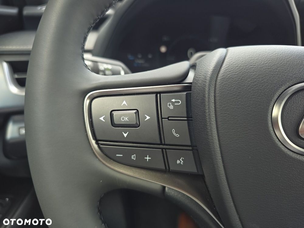 Lexus UX 300h F Sport Design - 17