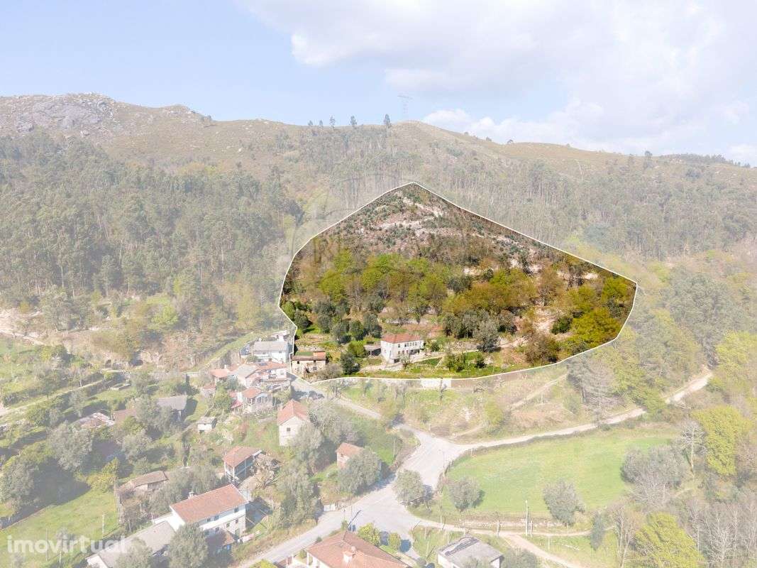 Quinta  para venda - Grande imagem: 3/49