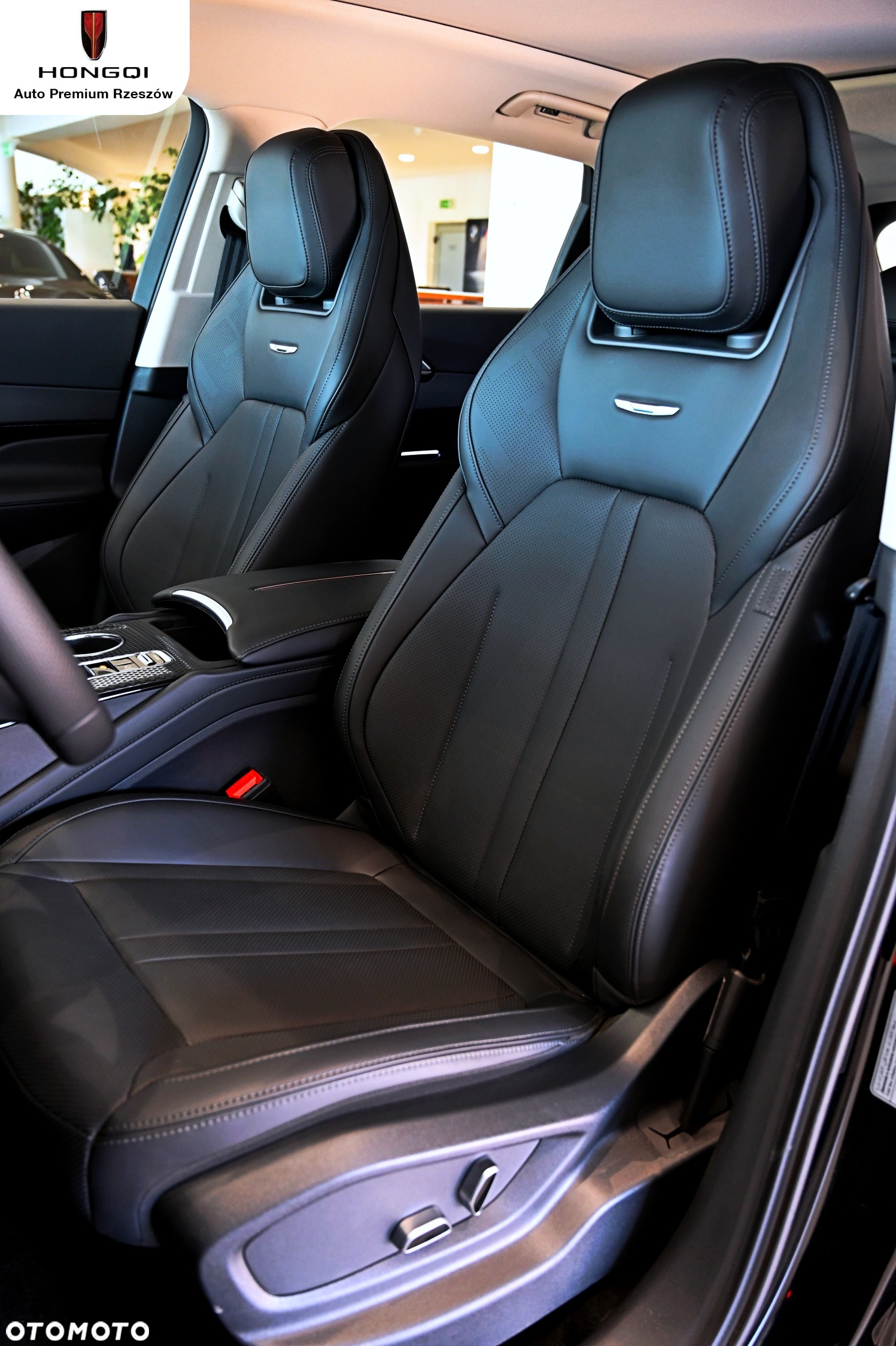 Hongqi HS3 - 16