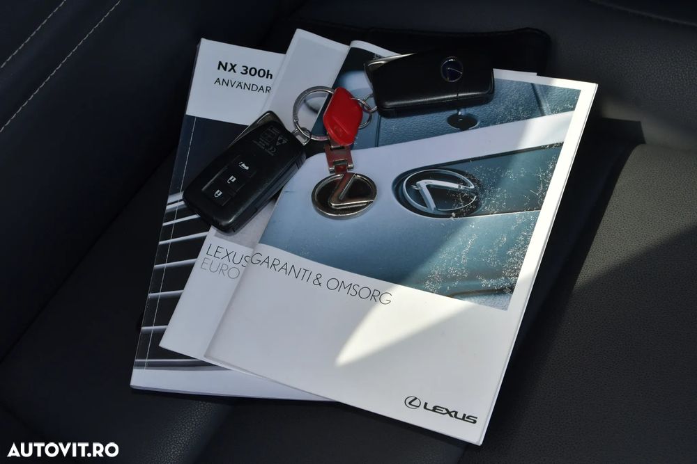 Lexus Seria NX 300h E-FOUR Business Edition - 6