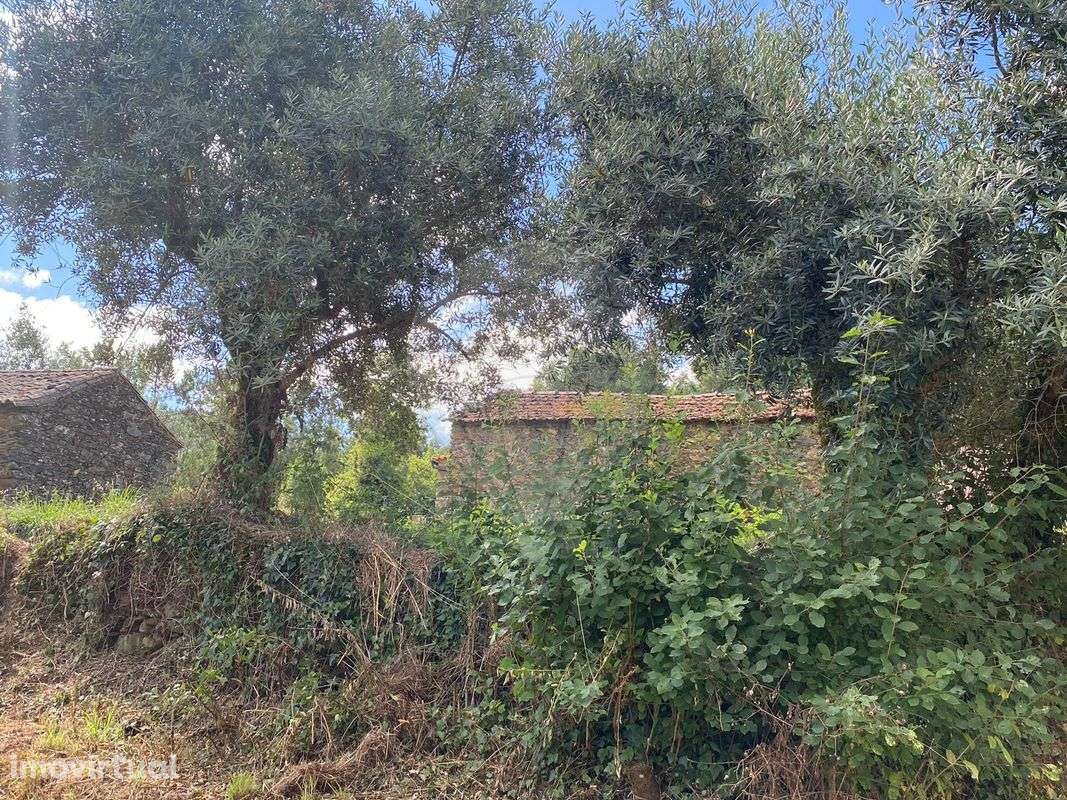 Terreno  para venda - Grande imagem: 2/6