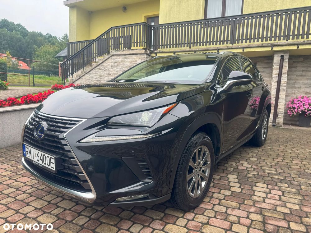 Lexus NX 350h Business AWD - 1