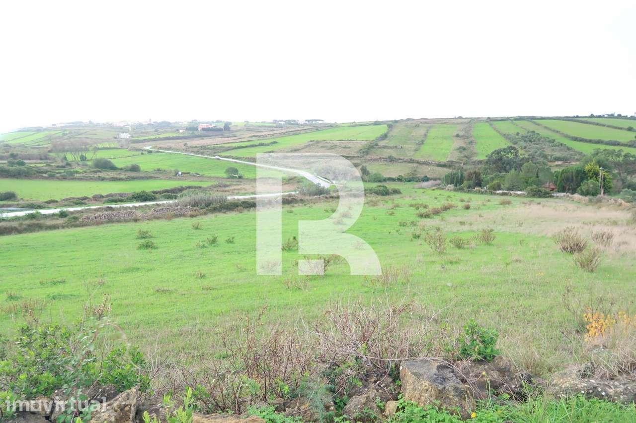Terreno Rústico em Areias, S. João das lampas - Grande imagem: 4/11