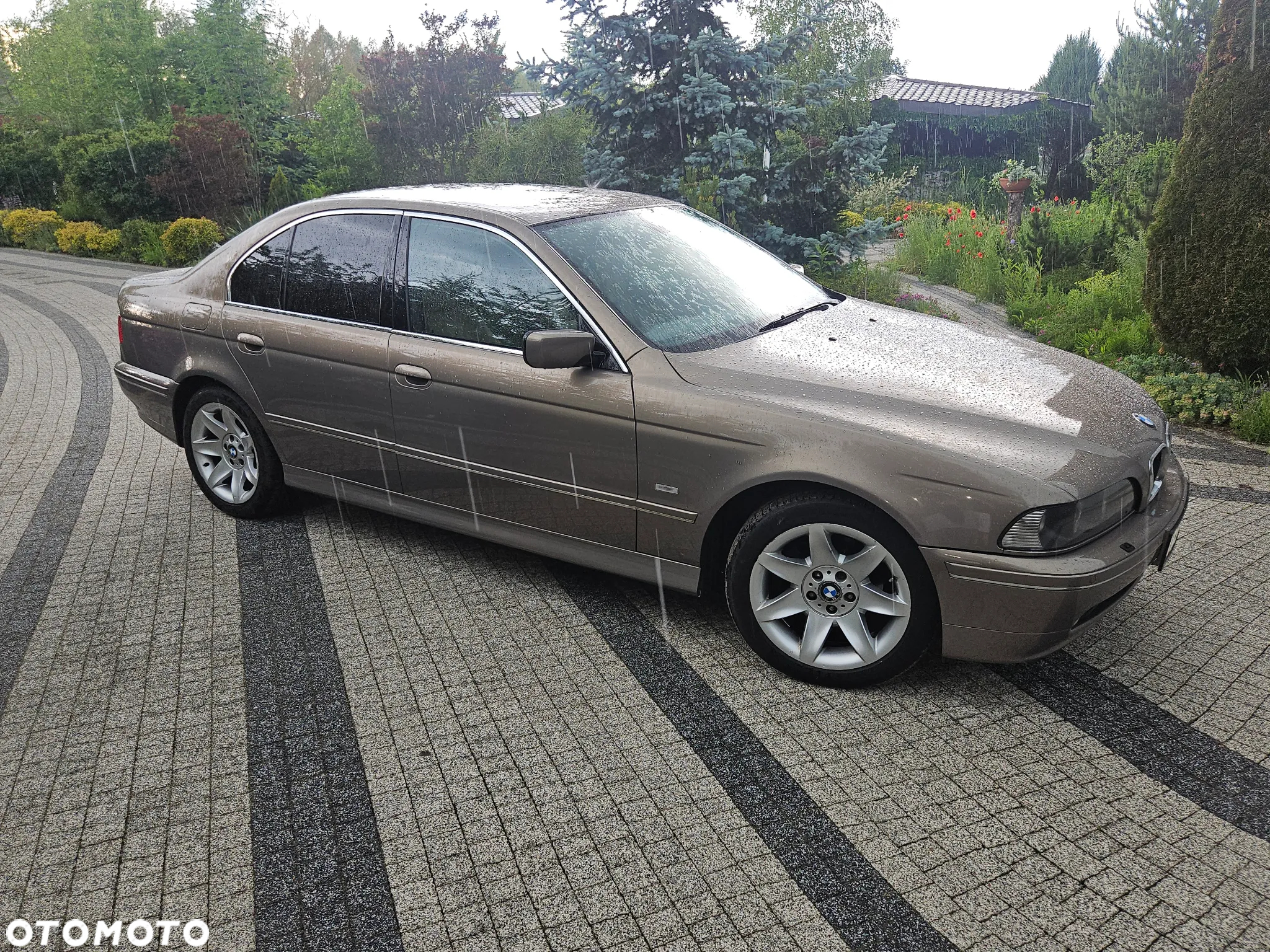 BMW Seria 5 525d - 7