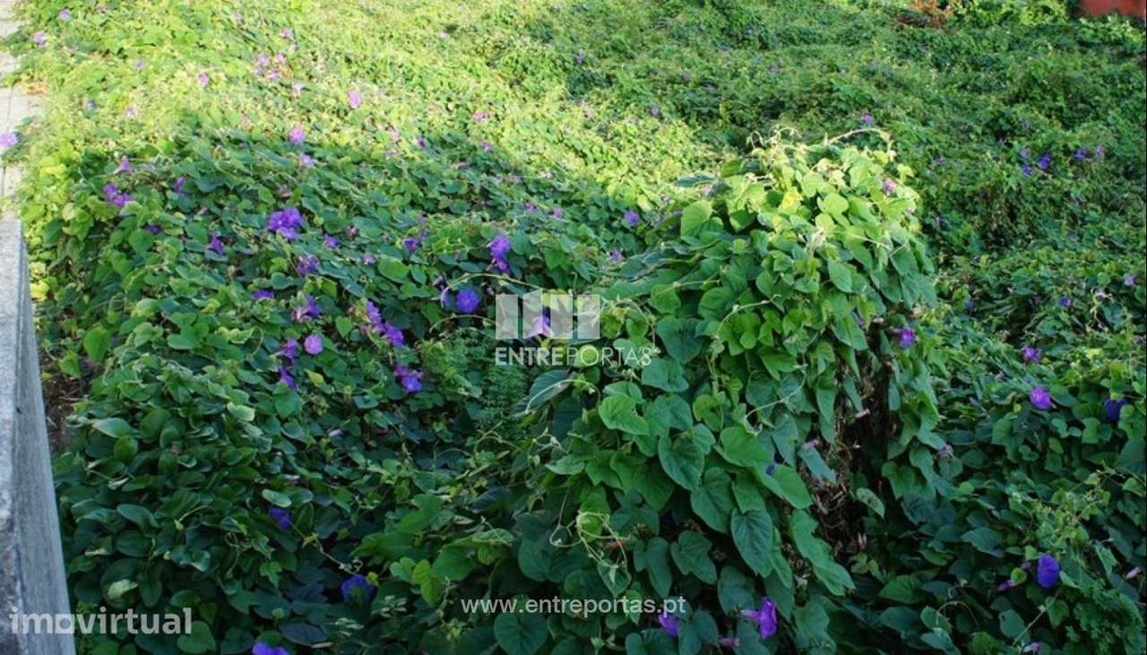 Venda de Lote com 3 frentes, Areosa, Viana do Castelo - Grande imagem: 5/27