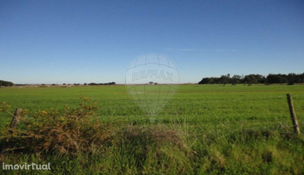 Terreno  para venda - Grande imagem: 5/8