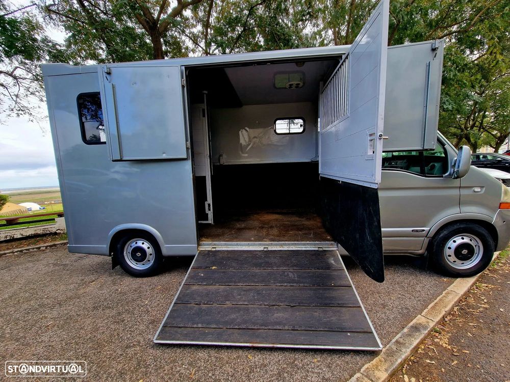 Renault MASTER - TRANSPORTE CAVALOS - 10