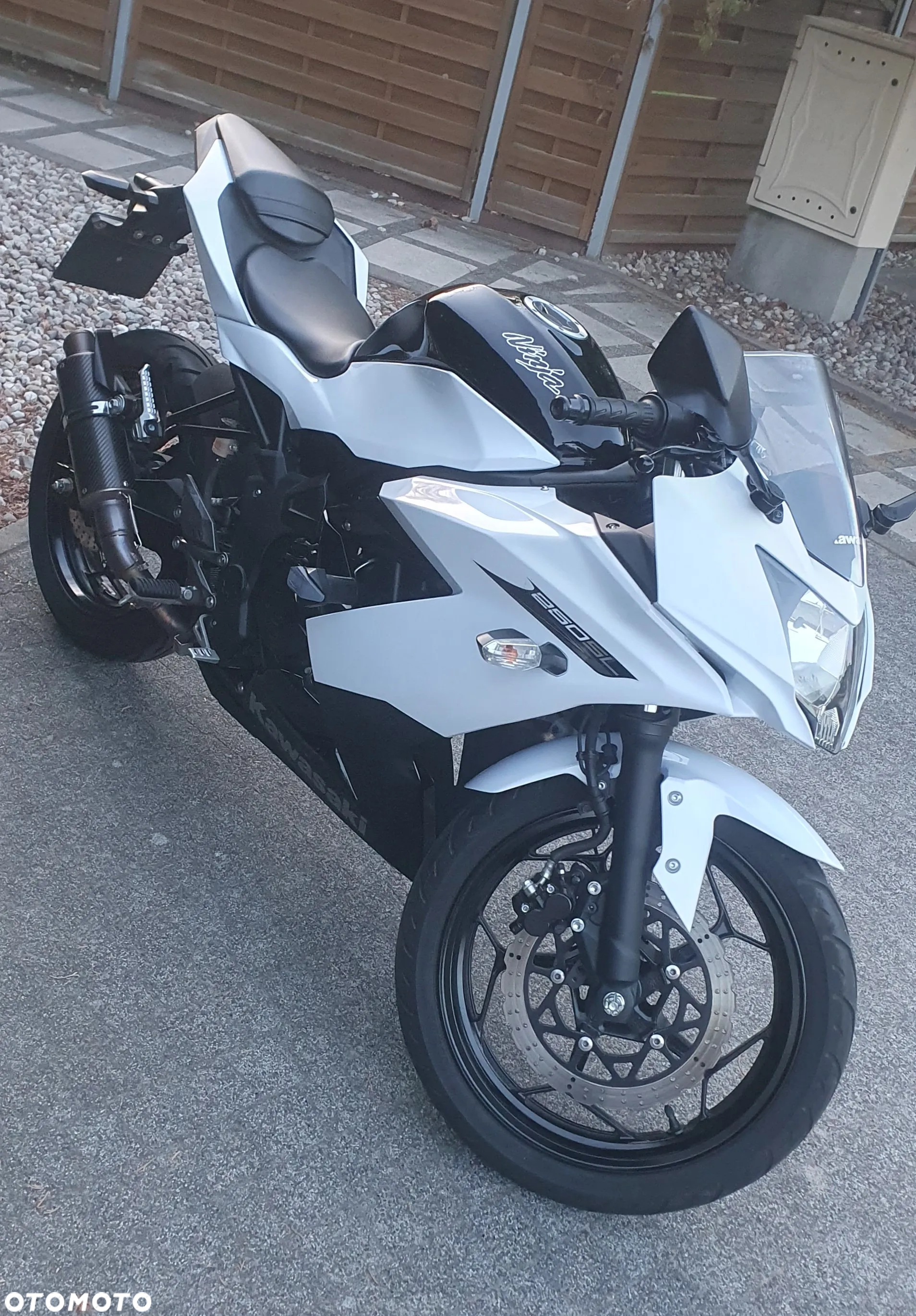 Kawasaki Ninja 250R - 7