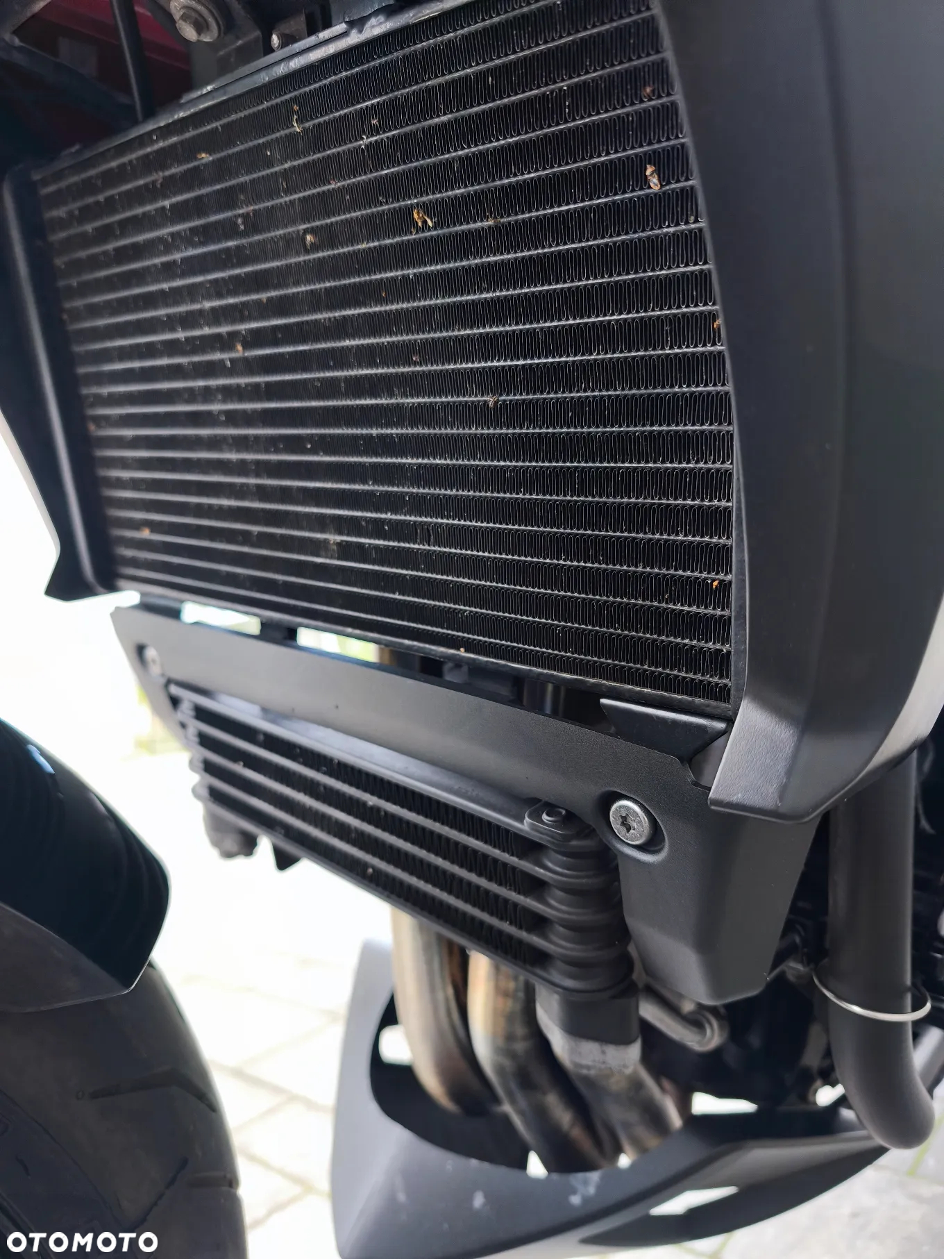 Triumph Tiger - 22