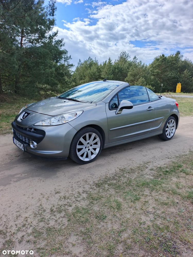 Peugeot 207 - 16