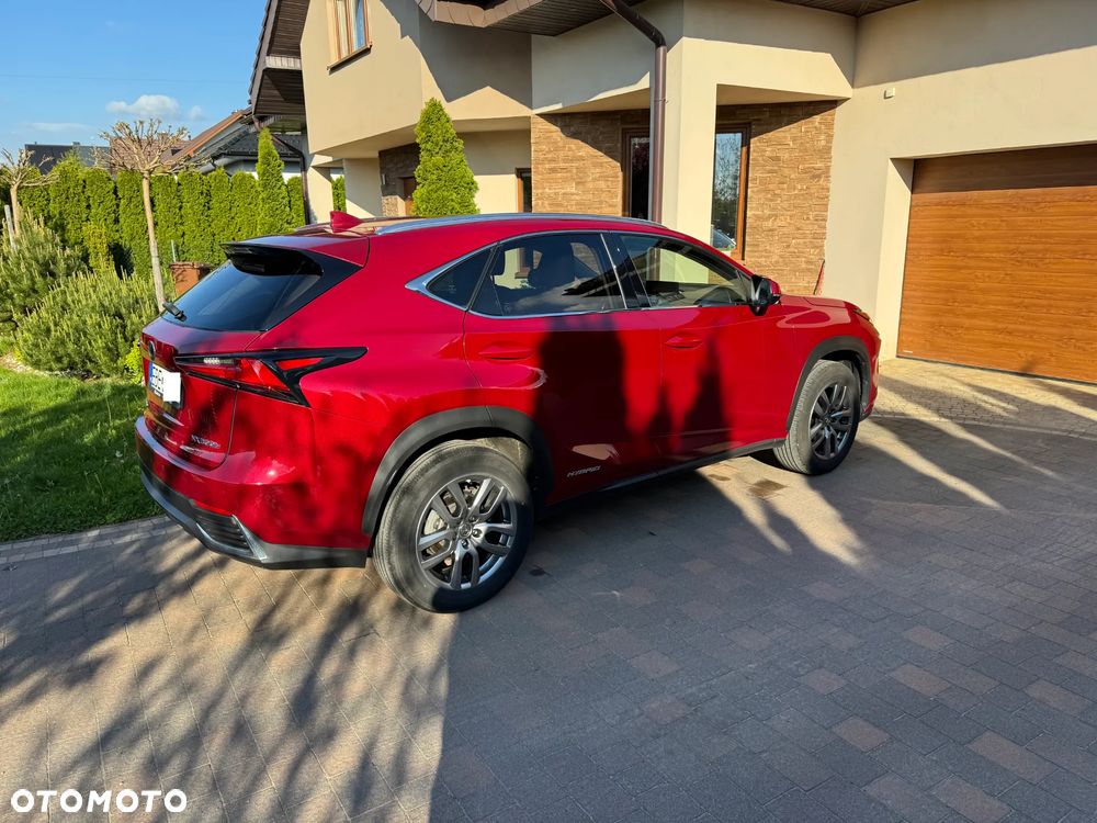 Lexus NX 300h Comfort AWD - 3
