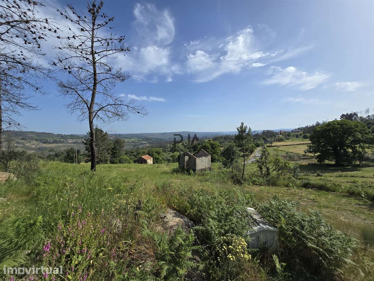 Terreno com 1Ha em  Aldeia Soito de Vide , Penalva do Castelo - Grande imagem: 2/13