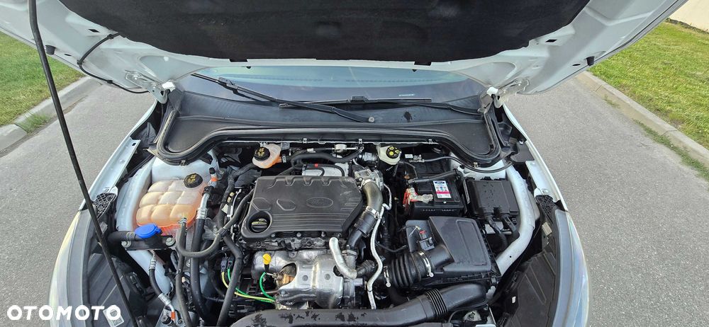 Ford Focus - 3