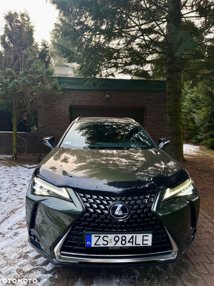 Lexus UX 200 Prestige 2WD - 25