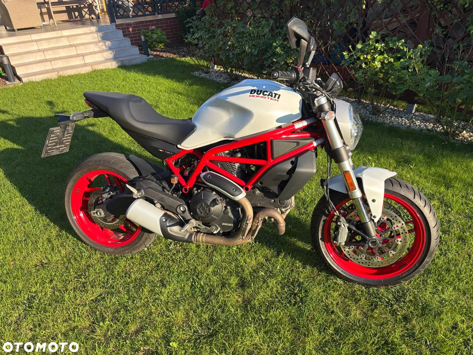 Ducati Monster - 3