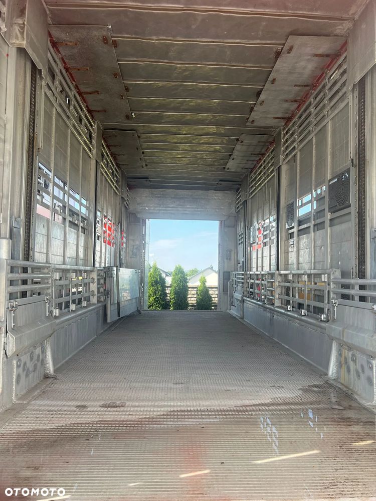 DAF XF 530 + Przyczepa Pezzaoli - 3X Trzoda, 2 X Bydło I 3 poziomy I Podnoszony dach I Hydroburta I Osie Skrętne I Poidła I Wentylatory I Pilot Manualny | - 7