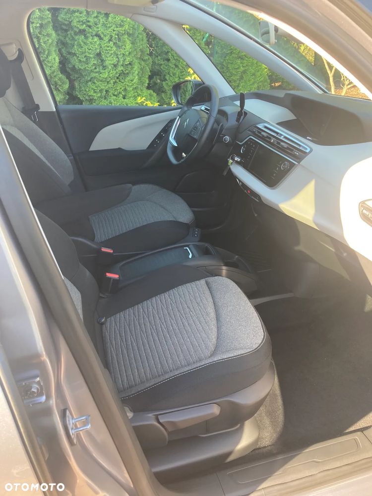 Citroën C4 SpaceTourer 1.2 PureTech Shine S&S EAT8 - 9