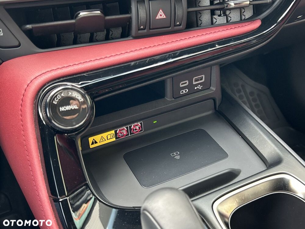 Lexus NX - 24