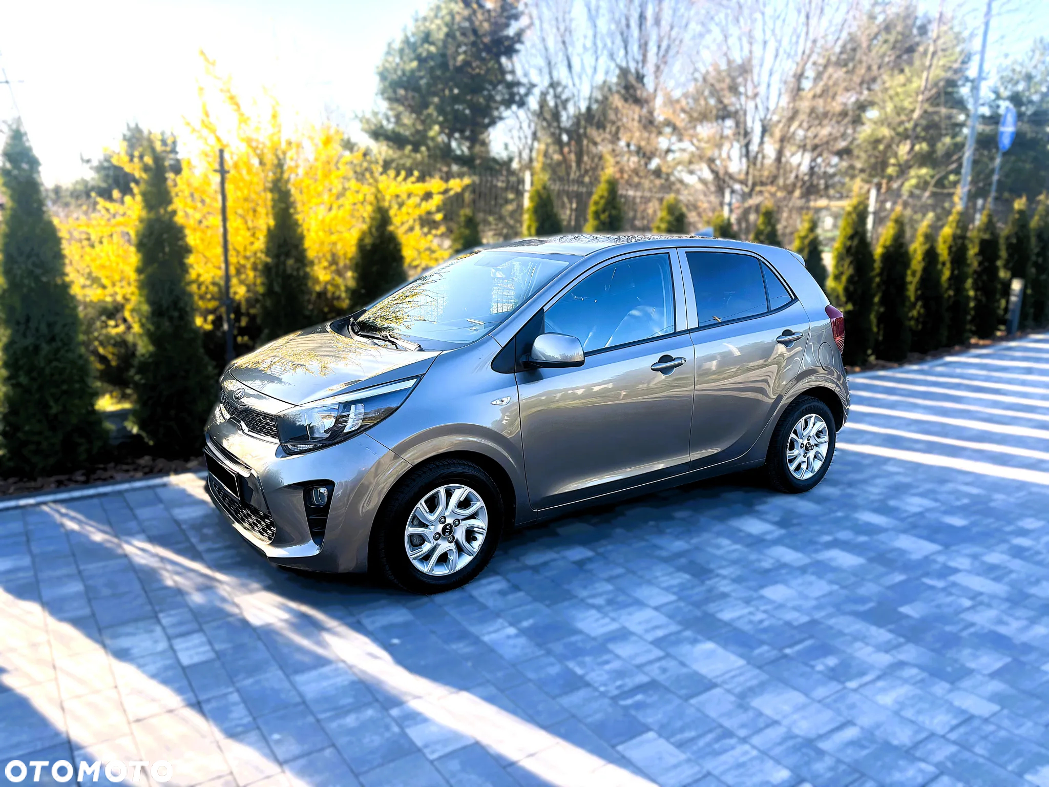Kia Picanto - 14