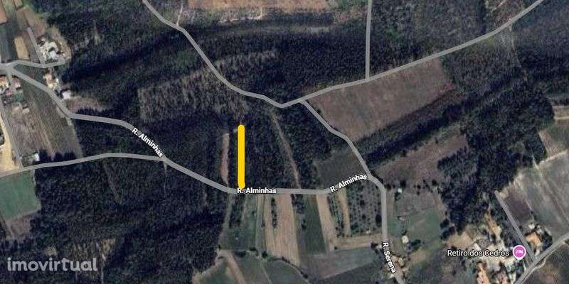 Prédio rústico - Pinhal e mato - Grande imagem: 2/2