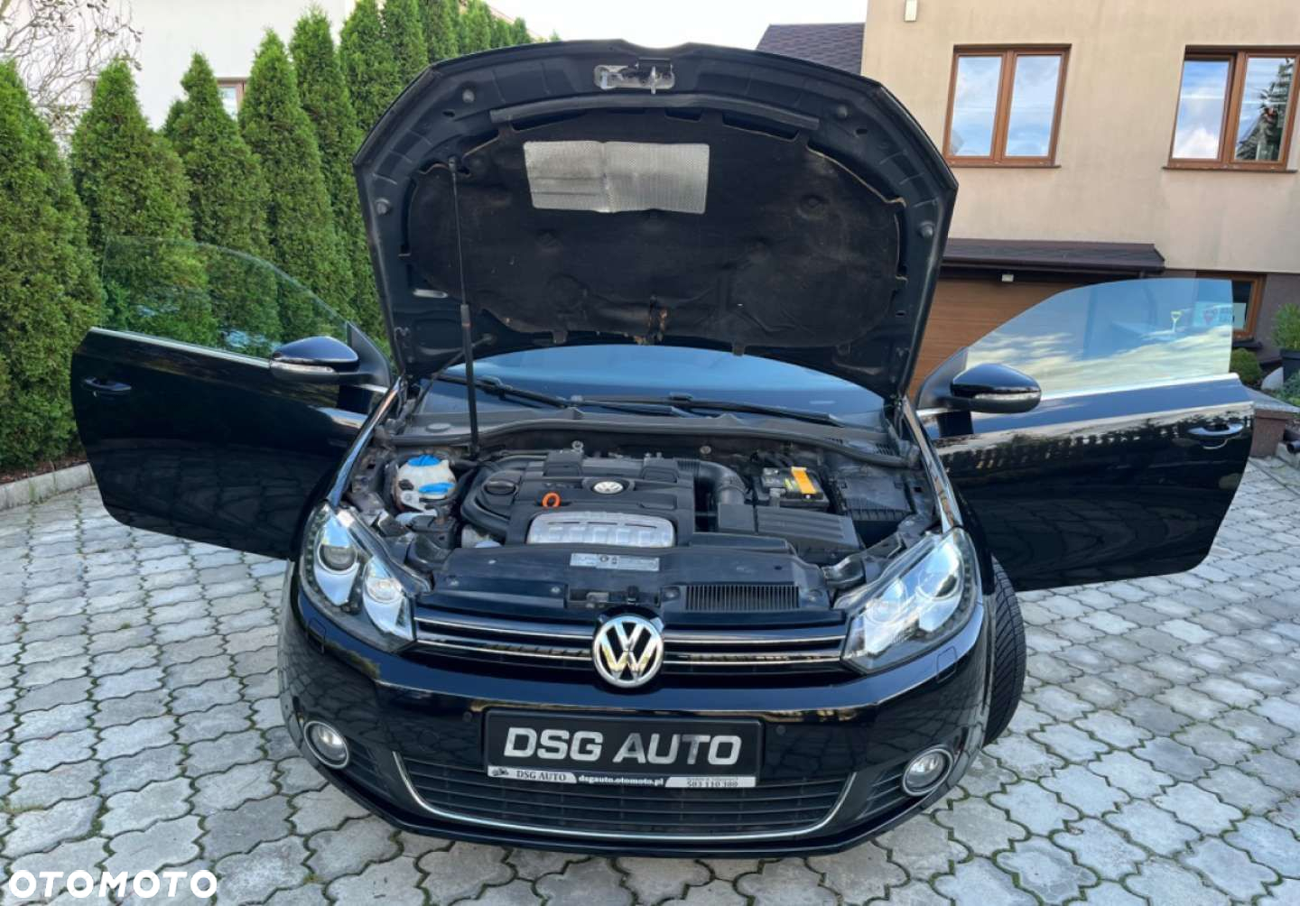 Volkswagen Golf - 39