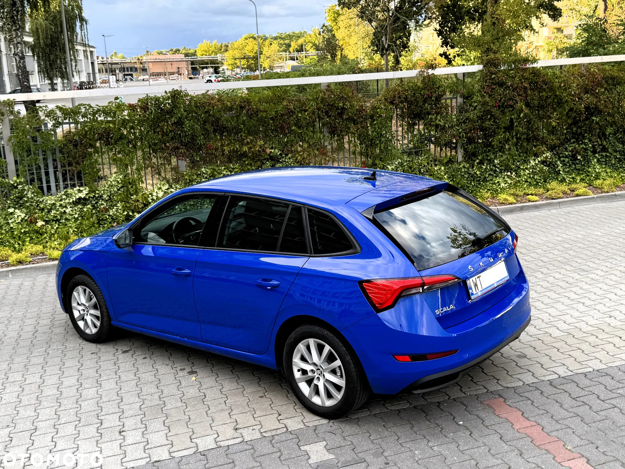 Skoda Scala 1.0 TSI Ambition - 5