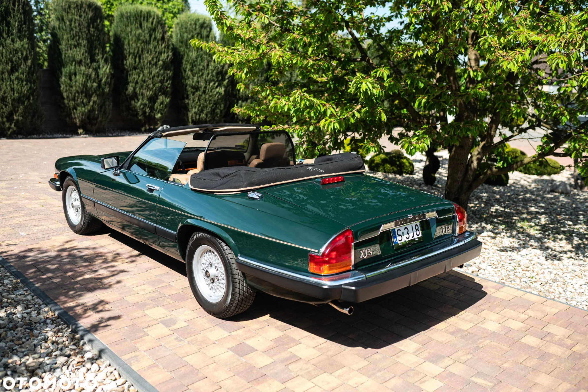 Jaguar XJS - 15