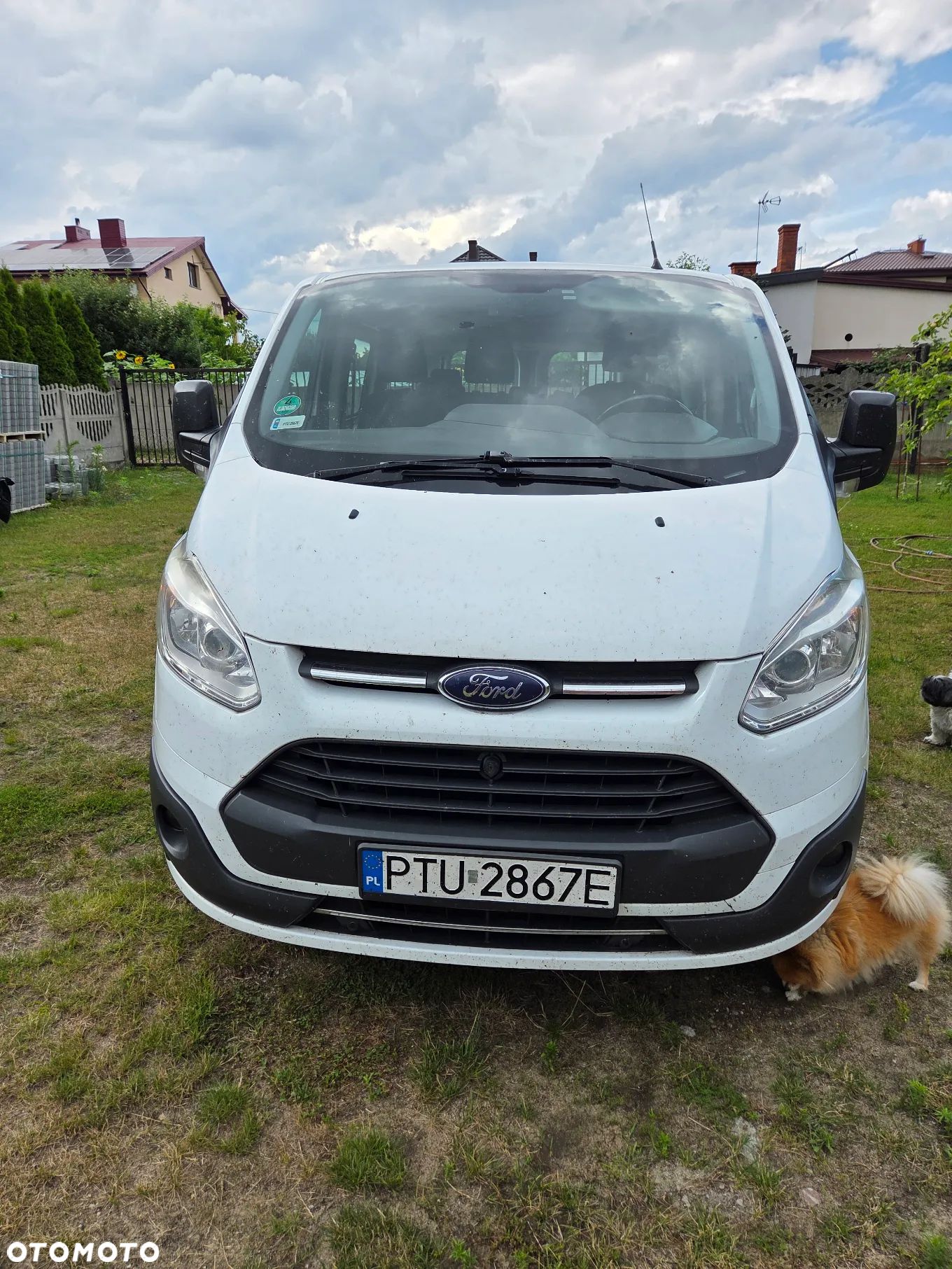 Ford Transit Custom 310 L2H1 Trend - 1