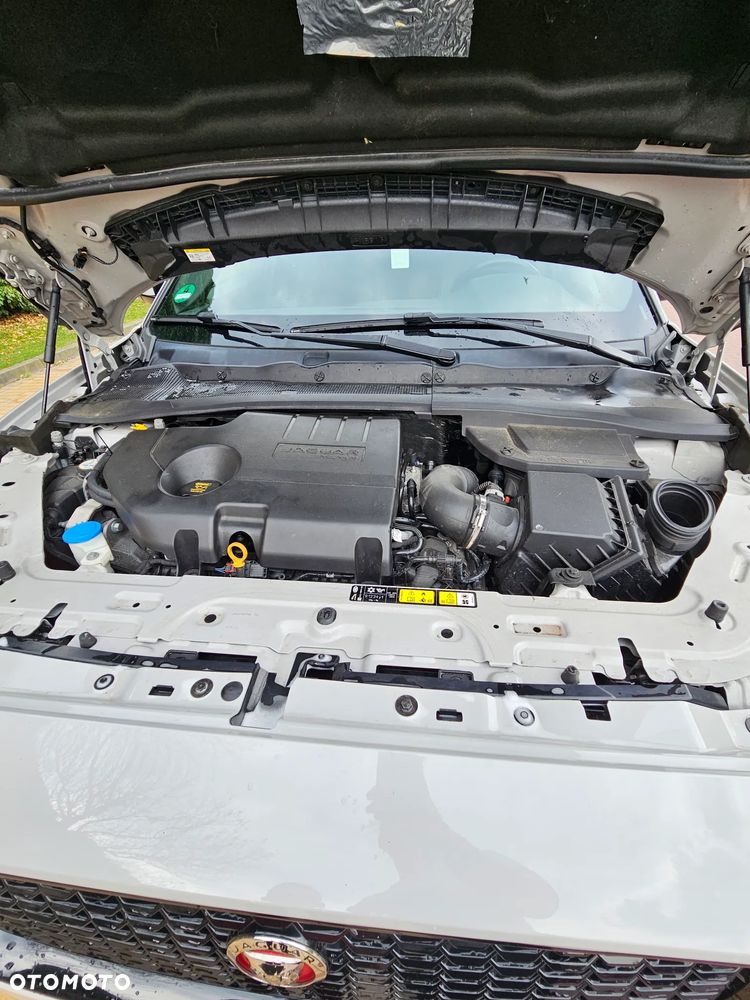 Jaguar E-Pace D150 R-Dynamic - 13