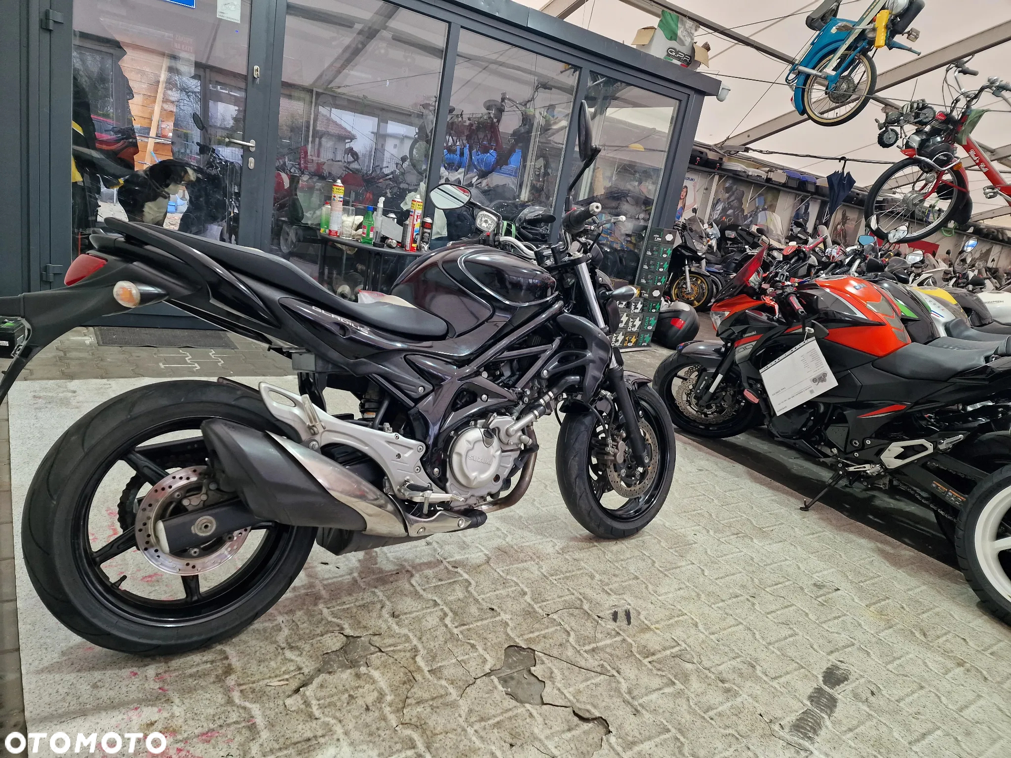 Suzuki Gladius - 4