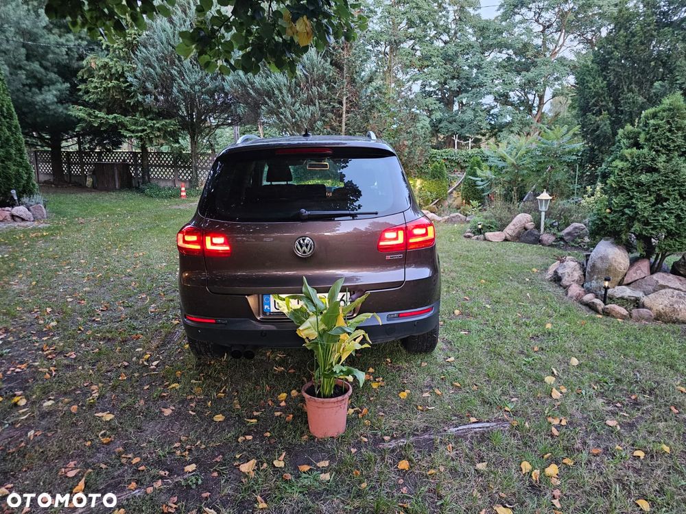 Volkswagen Tiguan - 13