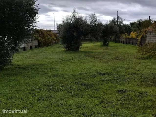 Terreno Residencial de 692 m² à Venda na Comenda - Grande imagem: 3/4