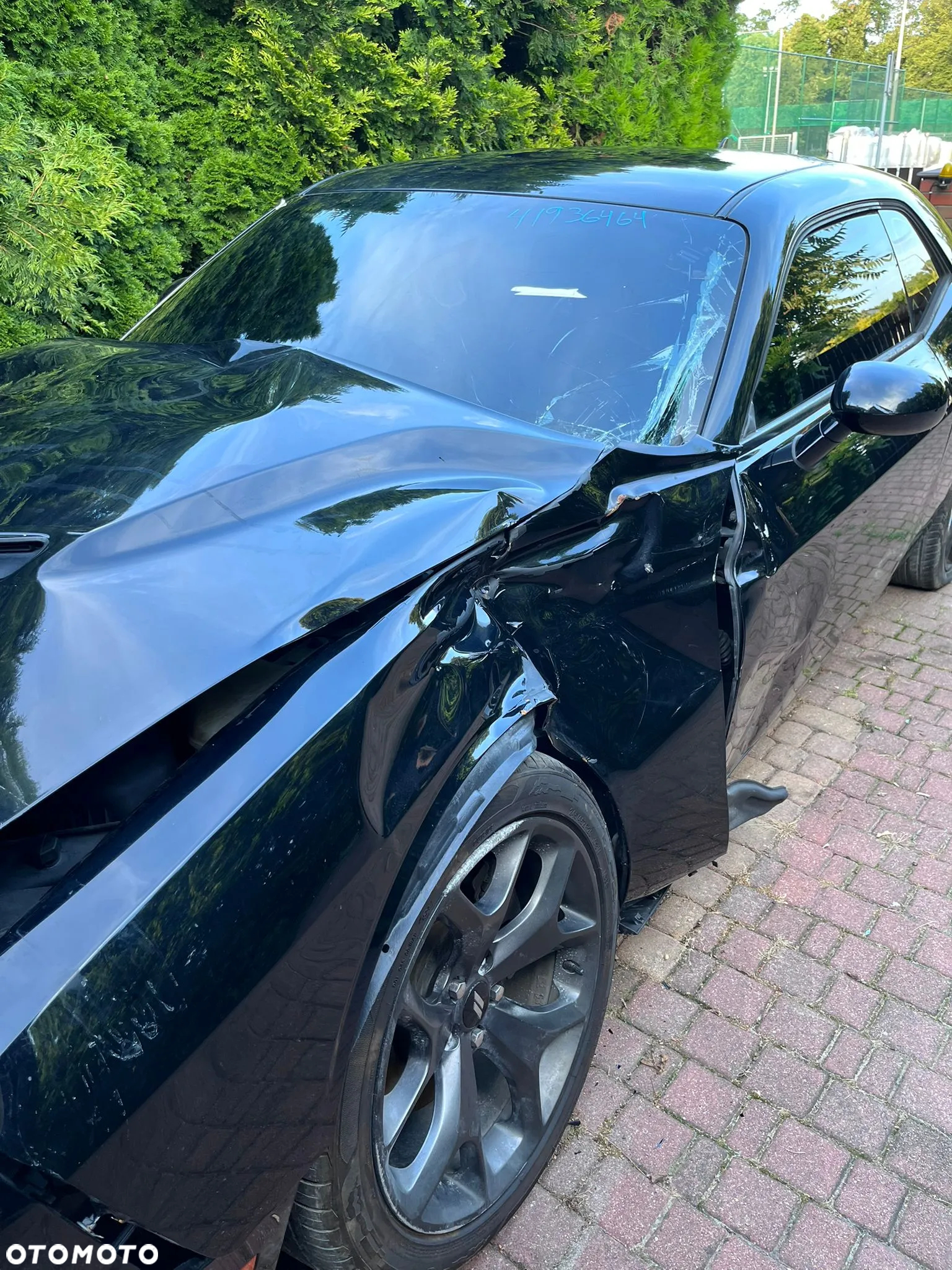 Dodge Challenger 3.6 SXT Plus - 3
