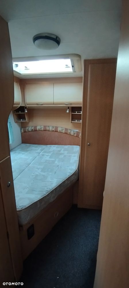 Coachman Amara - 4