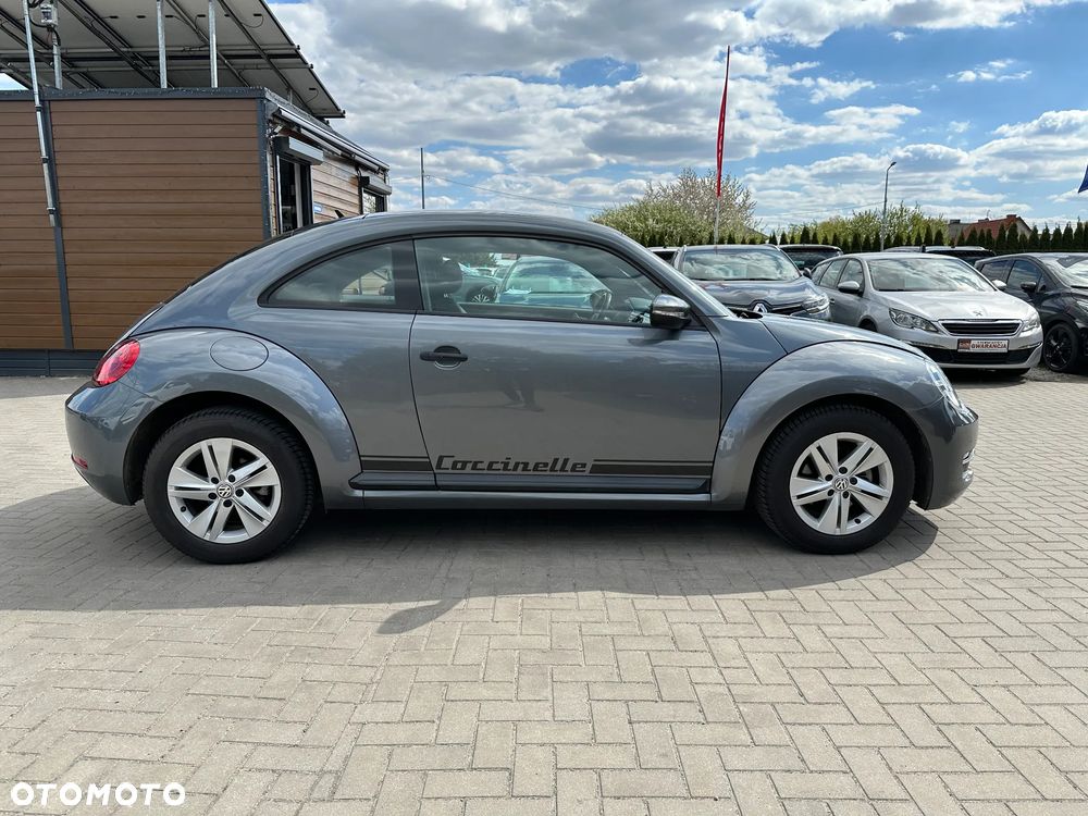 Volkswagen Beetle - 35
