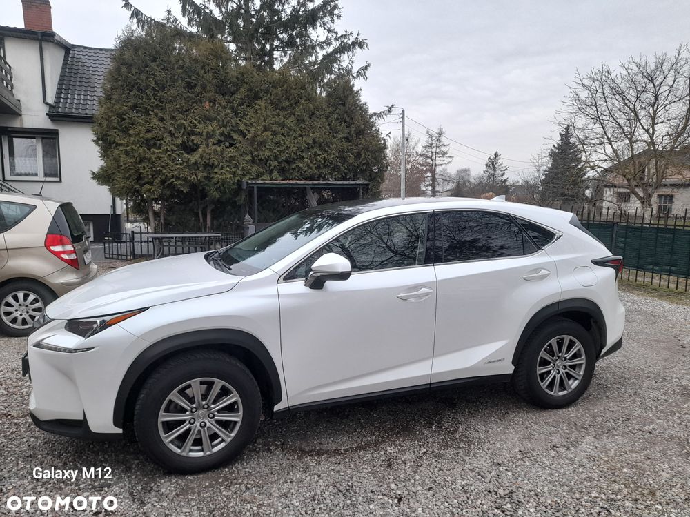 Lexus NX 300h Comfort AWD - 1