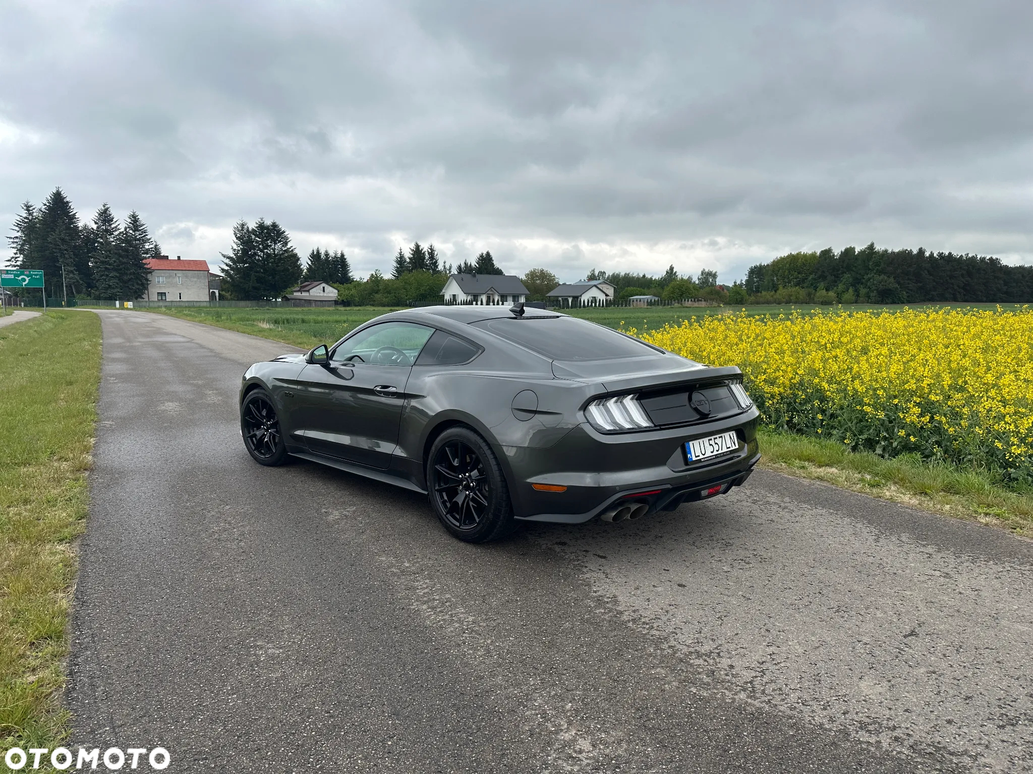 Ford Mustang 5.0 V8 GT - 3