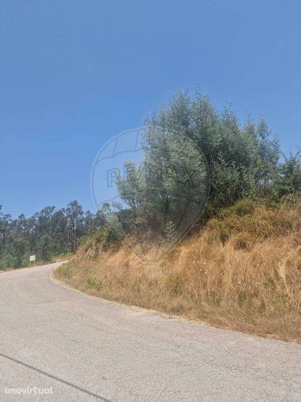 Terreno  para venda - Grande imagem: 5/10