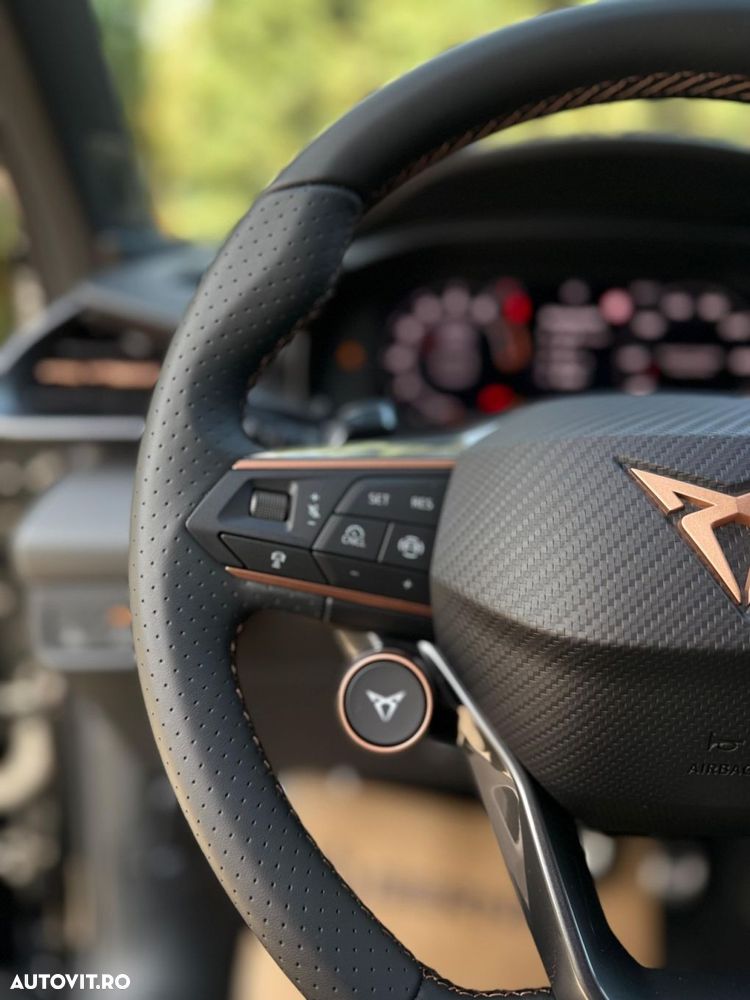 Cupra Terramar - 11
