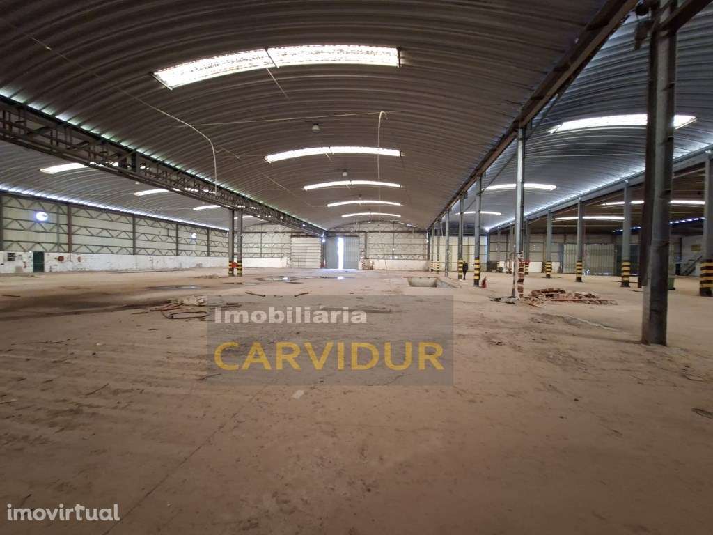 Armazém Industrial de Grande Dimensão - Parque Industrial da Mitren... - Grande imagem: 4/26