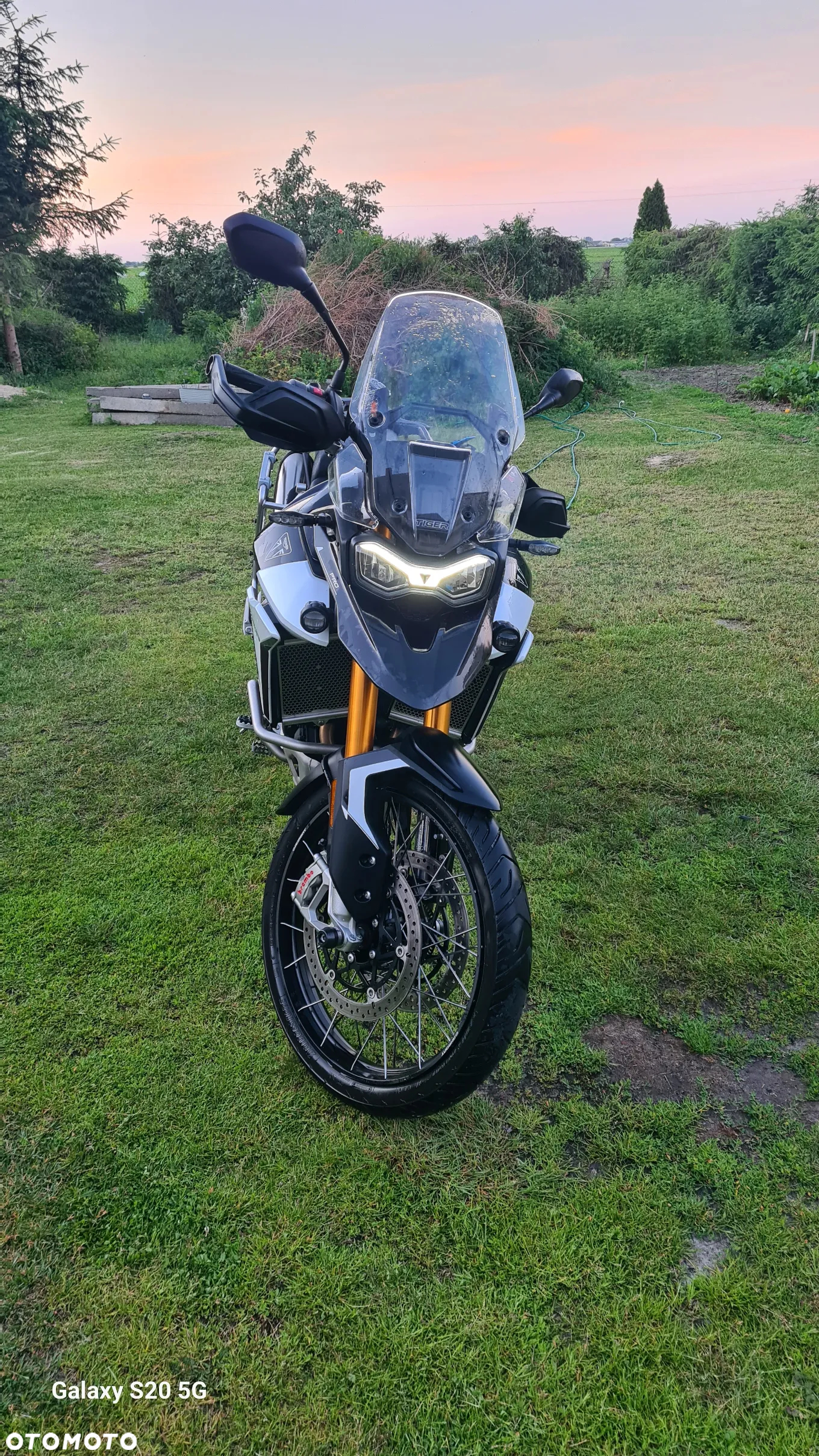 Triumph Tiger - 5