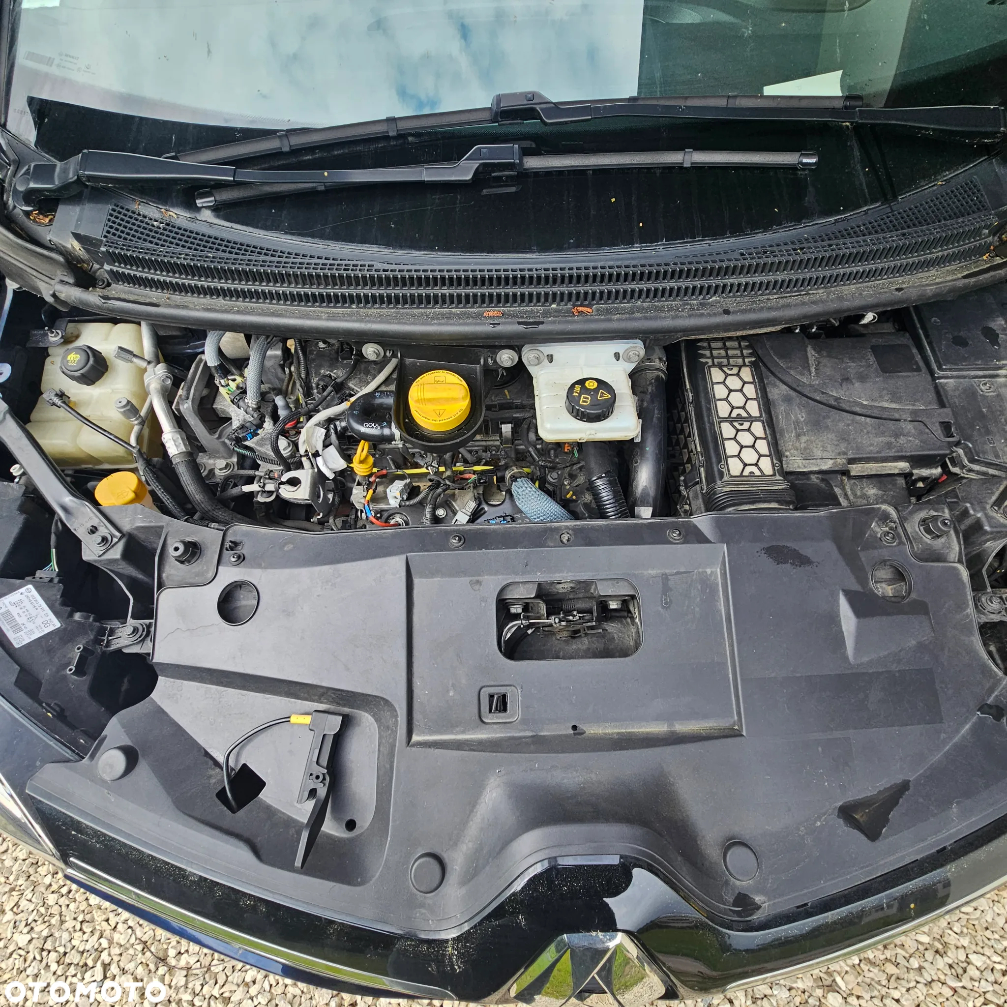 Renault Scenic - 25