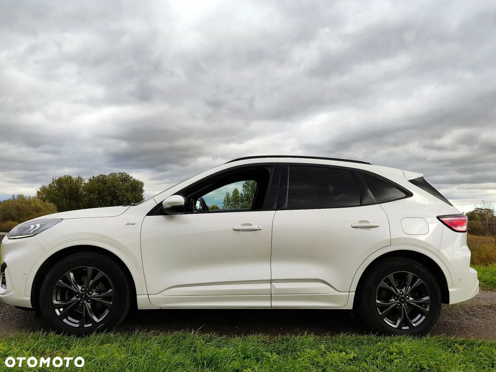 Ford Kuga 2.0 EcoBlue AWD ST-Line X - 6