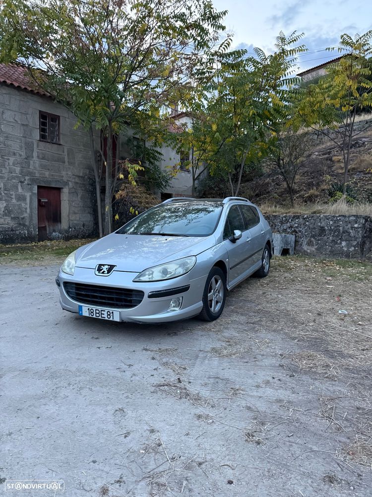 Peugeot 407 SW 1.6 HDi Executive - 3